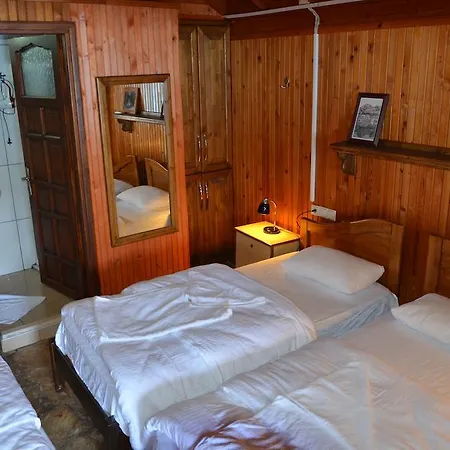 Ankh Bed and breakfast