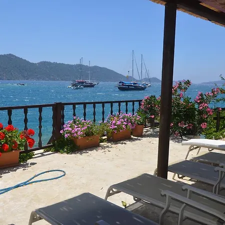 Bed and breakfast Ankh 3*